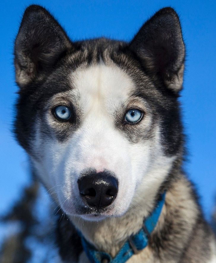 1ac50751d795bc97c9f88e74f7