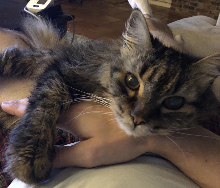 1ac6d3597a83d7fb793bf8d5a3