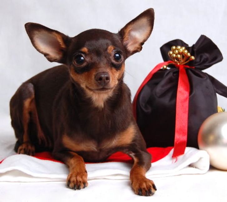 1ac7bb5f82b51746d9a6b7491d