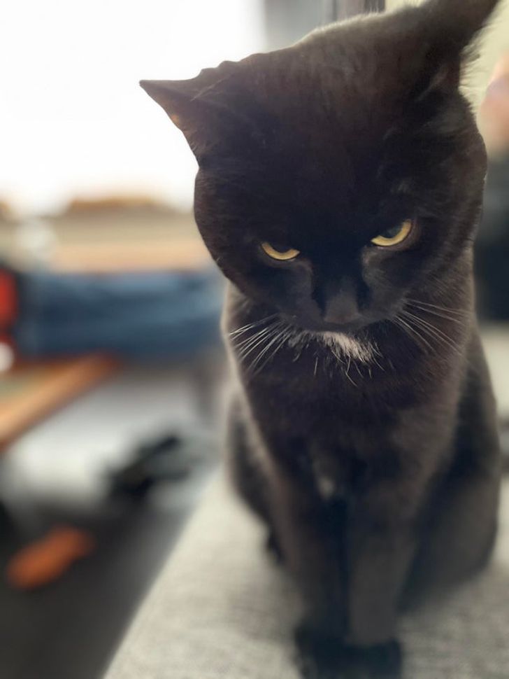 1acc465f2d9ac4e650772f7e5d