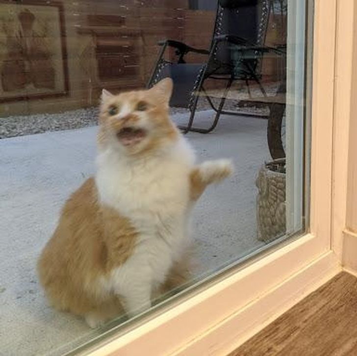 1ad228590ca9cad298416e6e17