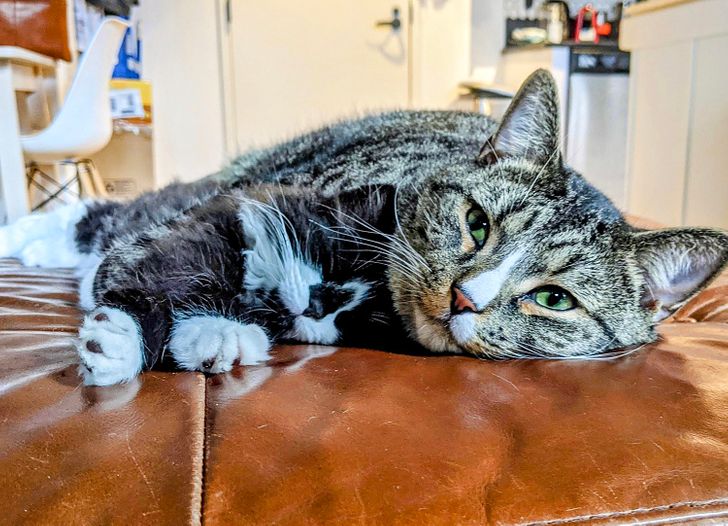 1ad46759a082650b94ce360362 1ad46759a082650b94ce360362