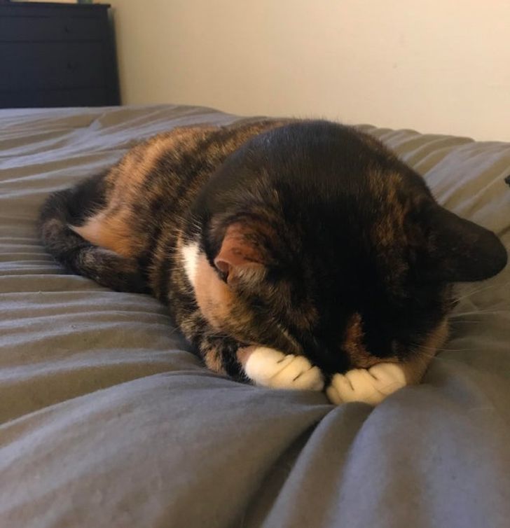 1ad9395be6a359ad38fc866491