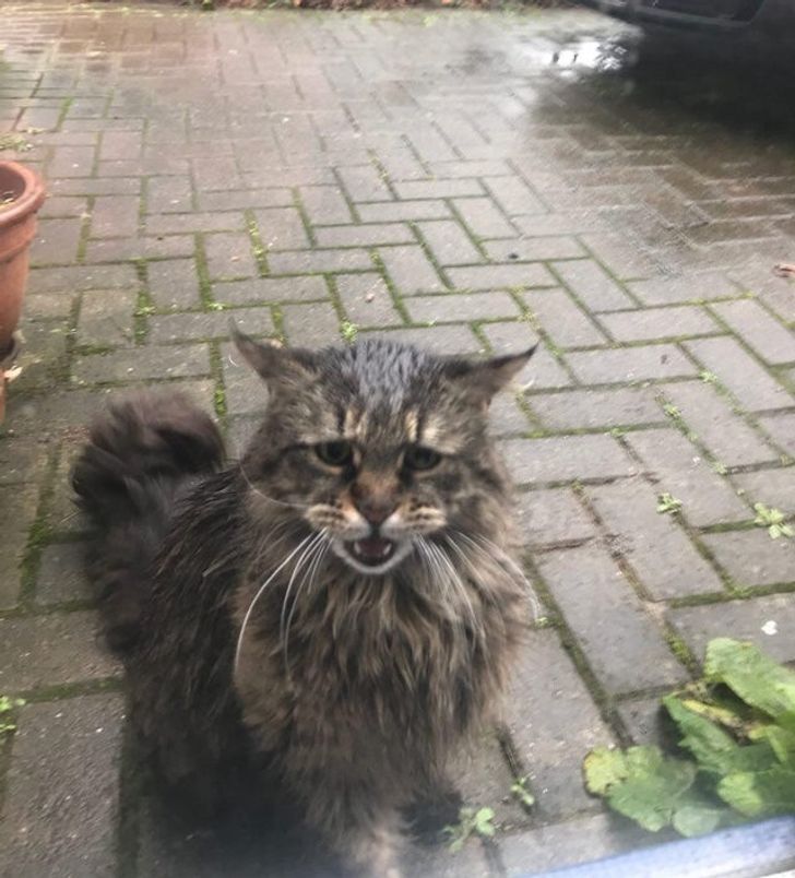 1ae2795bc2838134e8846561cf