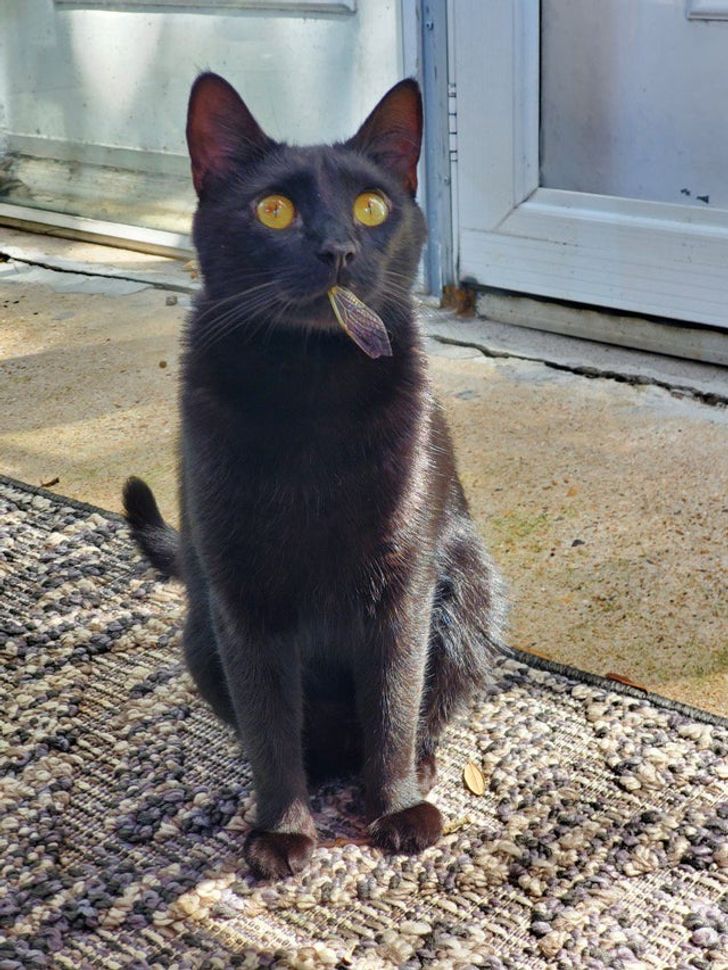 1ae3775b888261855bbc60f679