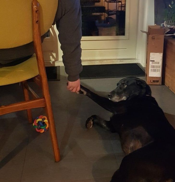 1af410529c8ffda009ab69b37d