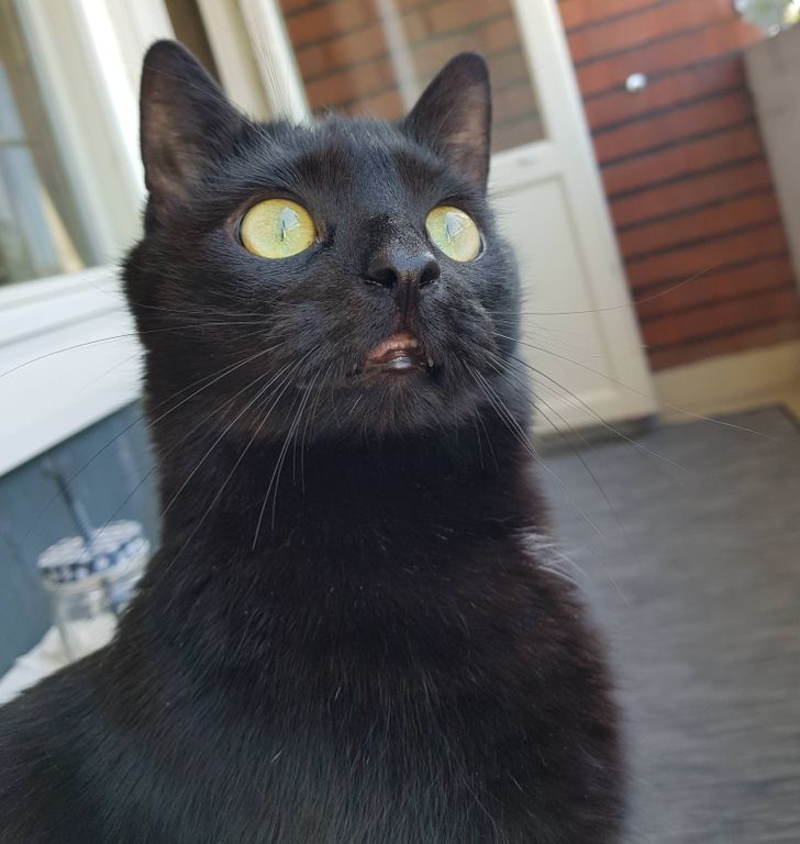 1af4fd5df6981bdd2c6129a9ee