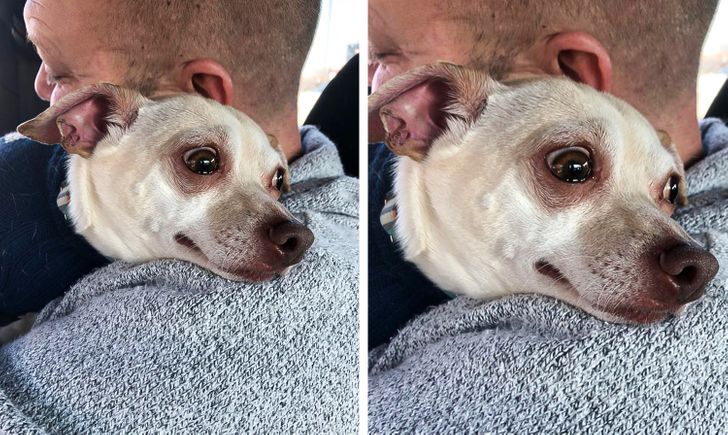 1afa8551d68dd272ecdb294c27