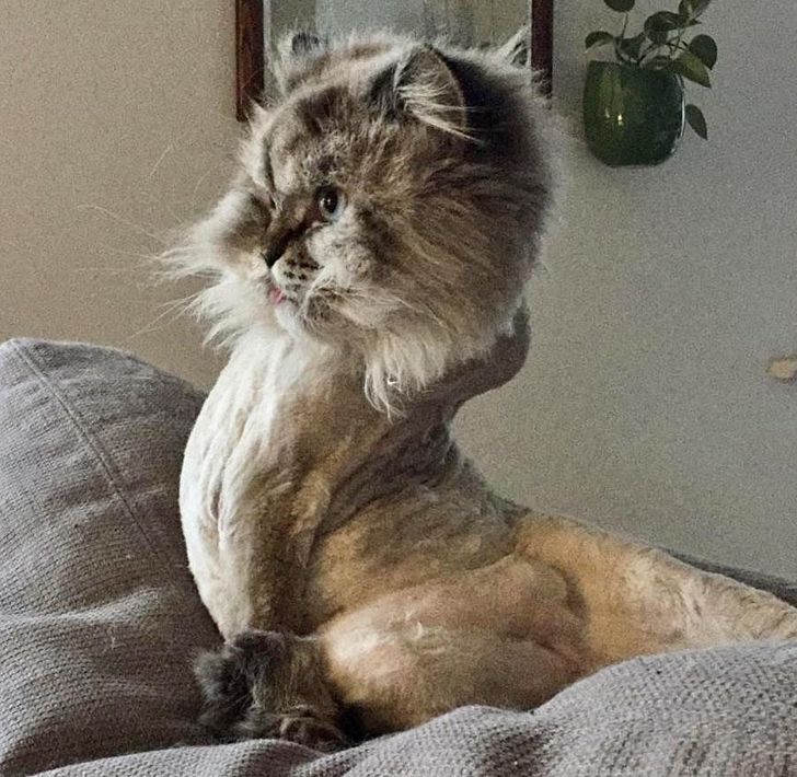 1afc9f5c2a88904b02a0152334