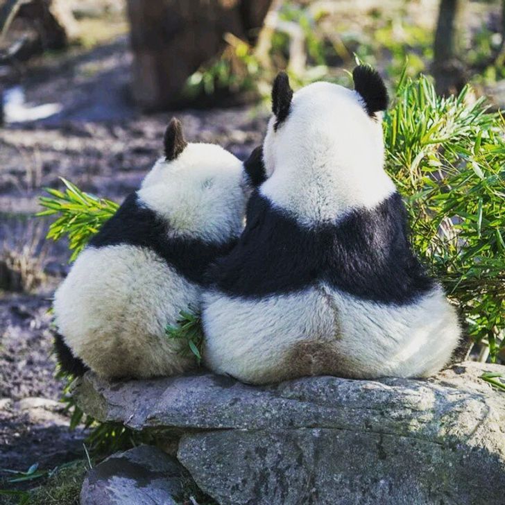 1b010e544f9c1860948c7ebfde