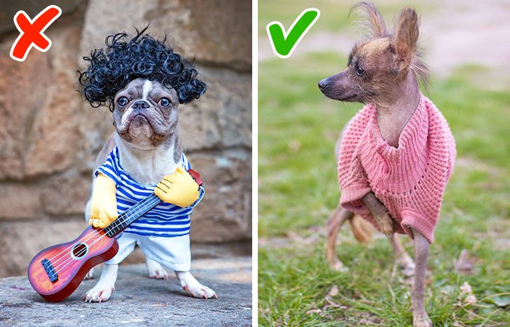 1b06ab527da81736dd00d48faa