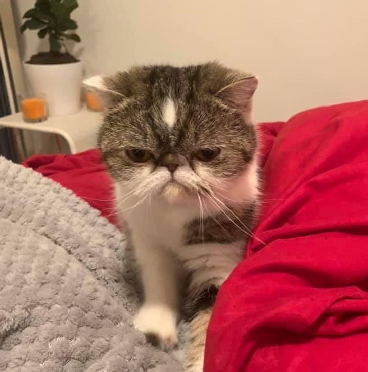 1b0a2e5aea91d80b1fec28510a