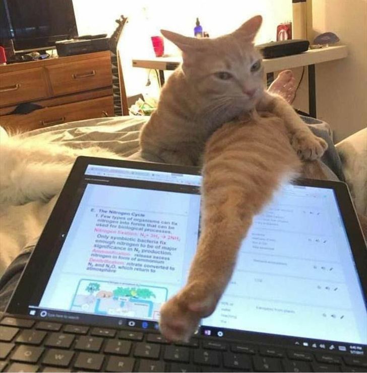 1b16f25aada869a32c980f4e5e