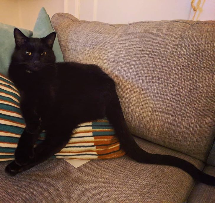 1b19785cb0a678484dcb02928e