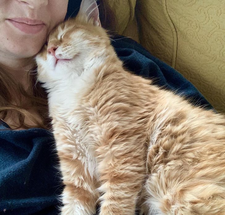 1b1c7659868b572fd0bbac35db