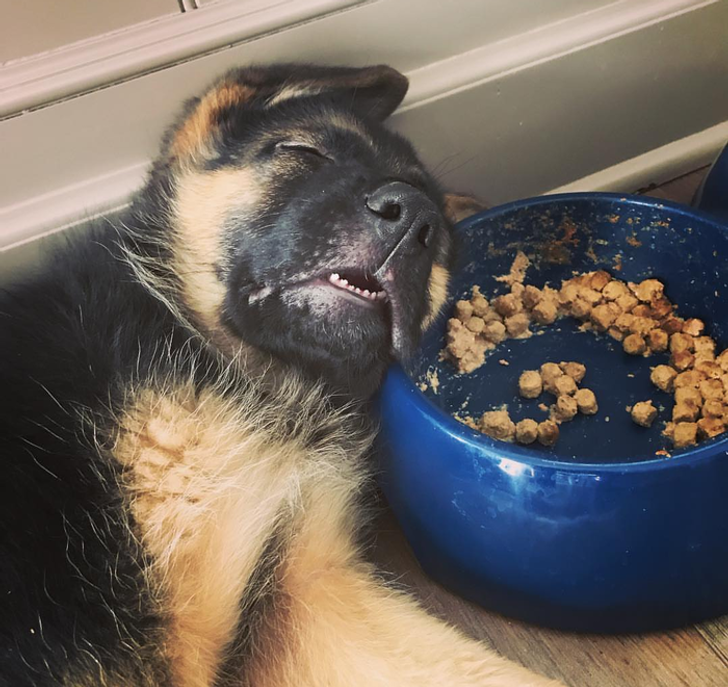 1b1cfa5a9da4d19d870ee5aa16