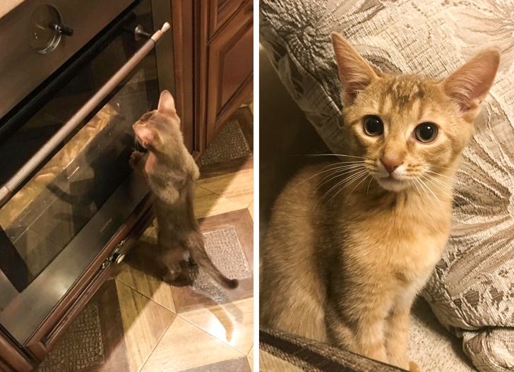 1b1dfe5919818aedc52317ec7b