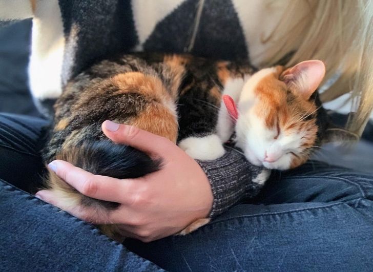 1b2a2b5c86b4c85b34dff664be