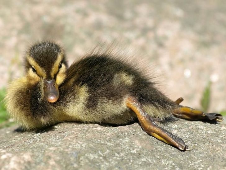 1b2e8c5273b4a901b66191ba4c