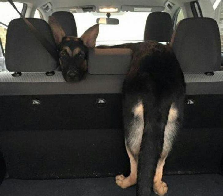 1b329e52d9ba0e96be3356bfd4