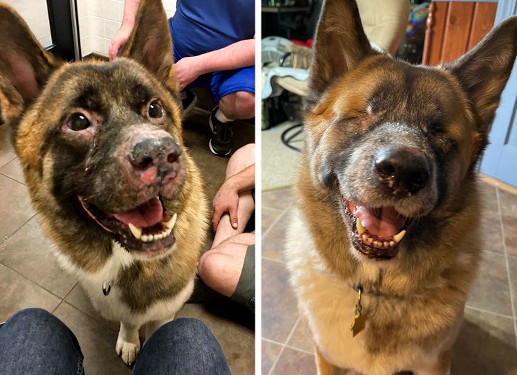 1b382157e8b54f110ae1f09987