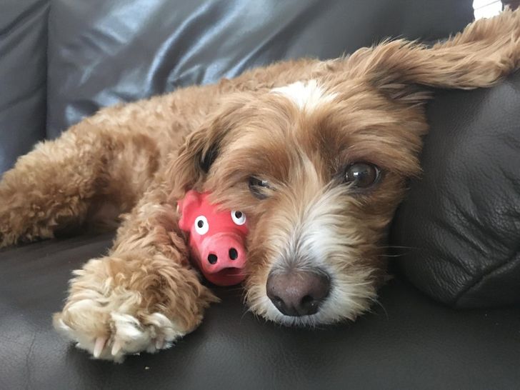 1b3bd3574685f7070611adcafd