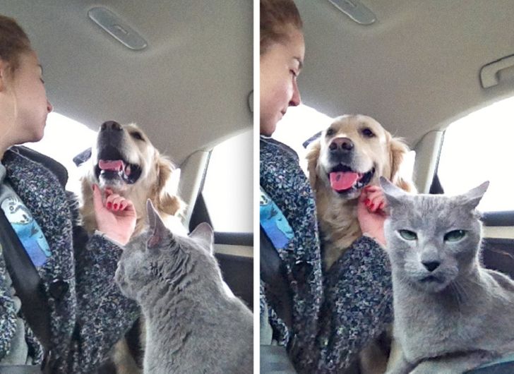 1b3e3a5afb9f357c699a9fe364