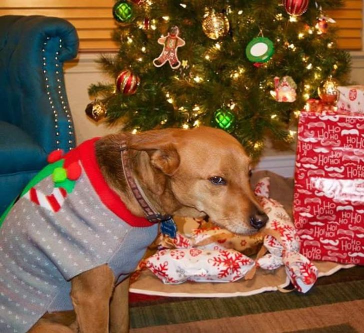 1b49b9510ba1ae421de6f97780