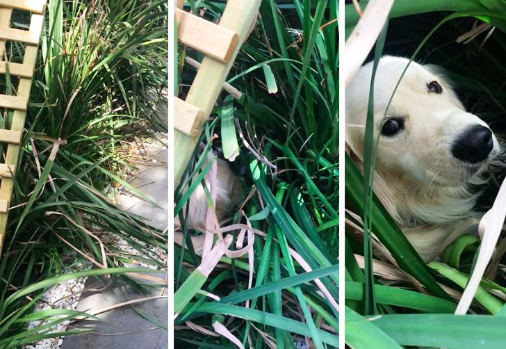 1b4c5f59568253cd6b1c1d8a5f