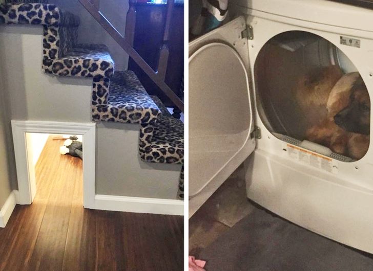 1b4d3b51db99f0f9a77a70318e