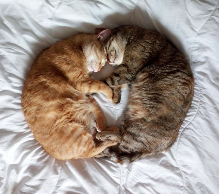 1b57f05229a243fe8452d0376b