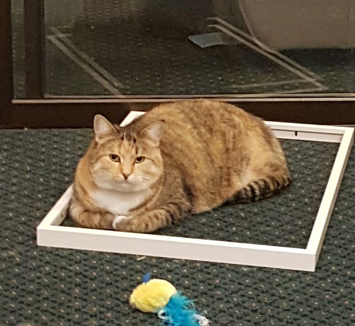 1b5a895ea1b00464dacfd59a95