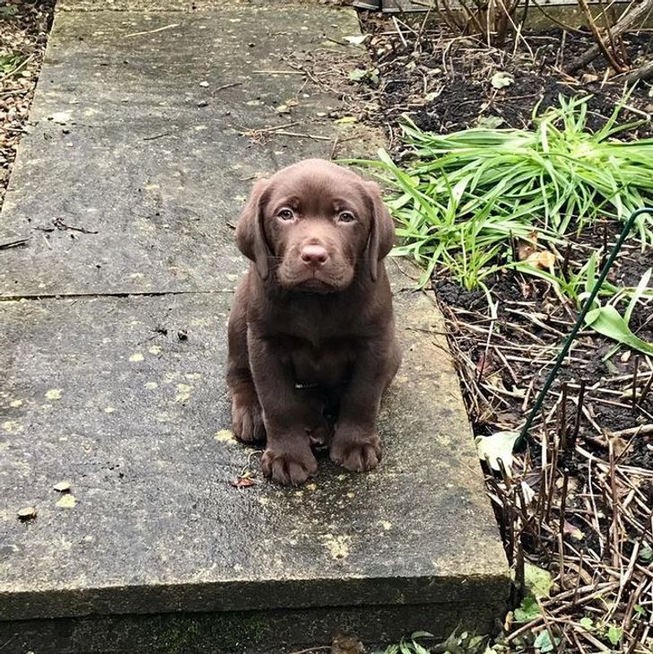 1b5e455ece86b839e27ffd7827