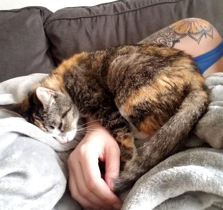 1b610455828beb8510f46d6894 1b610455828beb8510f46d6894