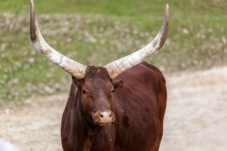 1b6e195f5093aea898c75e2da2