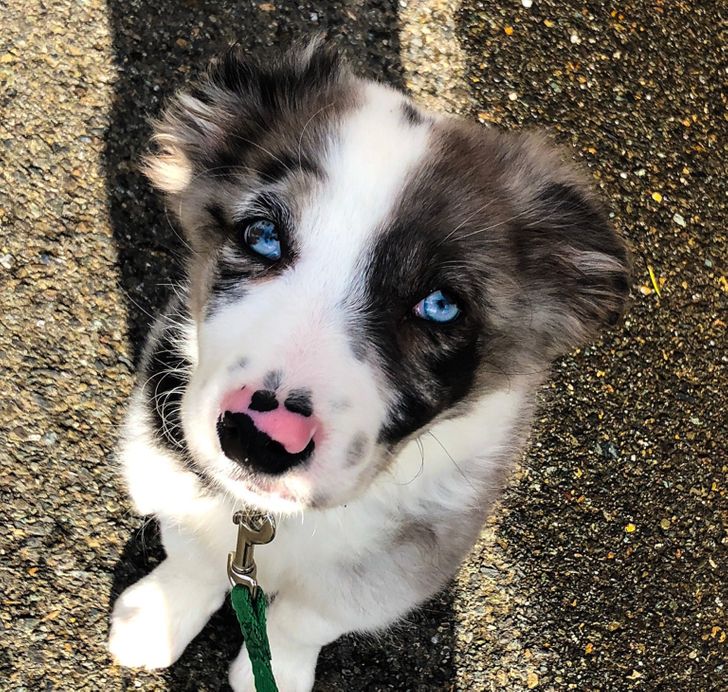 1b74cc5a6c8eb08a16f1b1e4aa