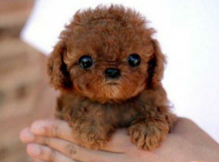 1b76655c5cbe3707ebfaccb1c5