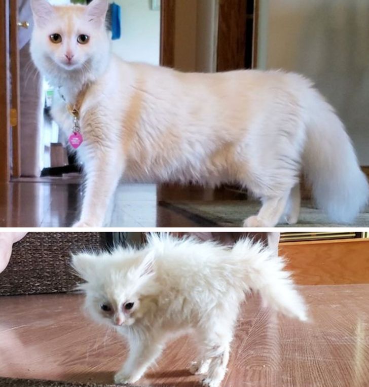 1b7d715323a84bb51258ef0046