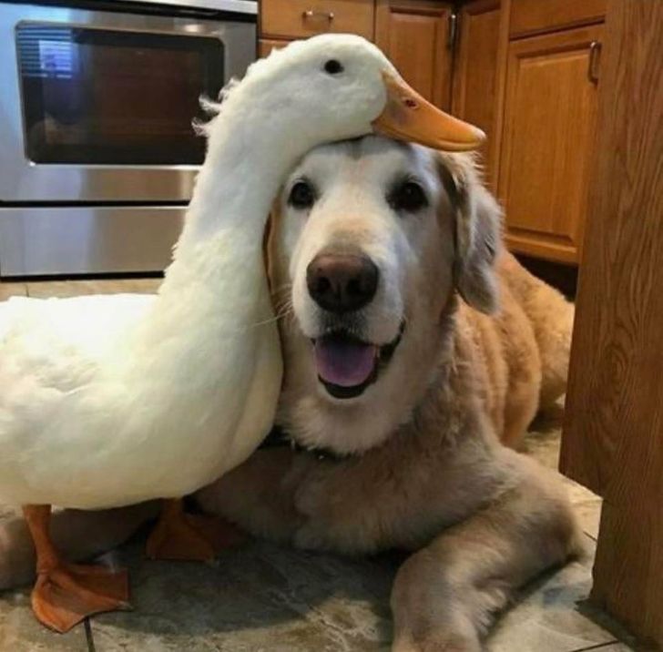 1b941550fbadcd0e67678ea225