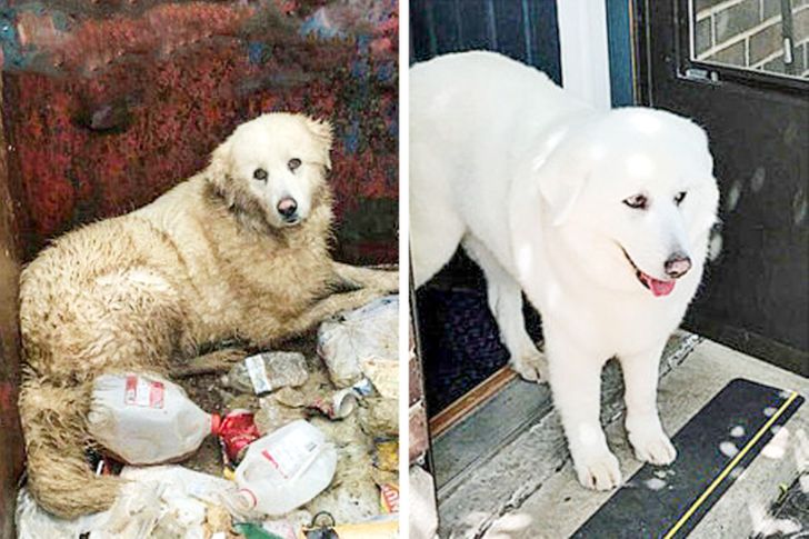 1b94a95f01ab3e588a7cbeae00