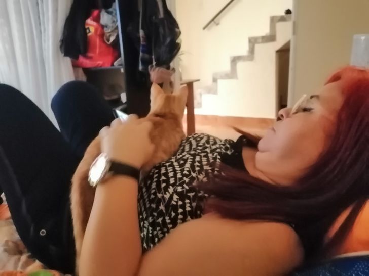 1b96aa52edbe03cff2c3b50409