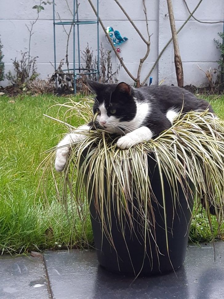 1b986e5e708281141ebc158267