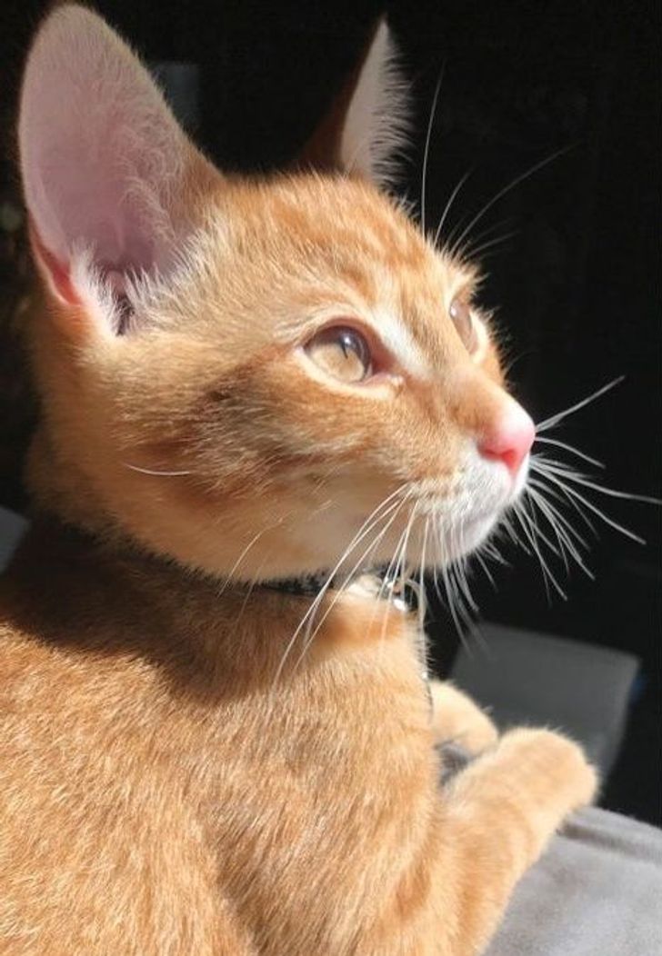 1b9a935b97a894b5bbea45c82a