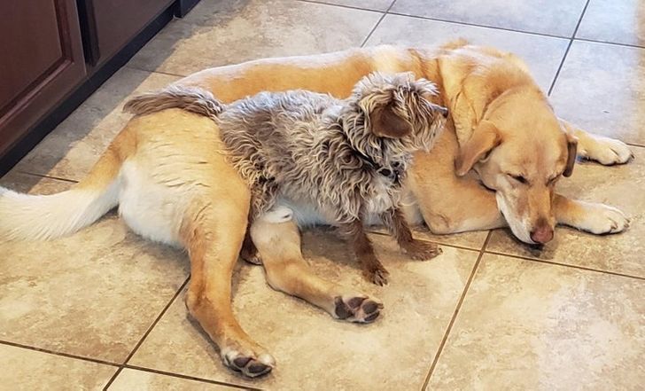 1ba34352dca67b2640a48cdb14