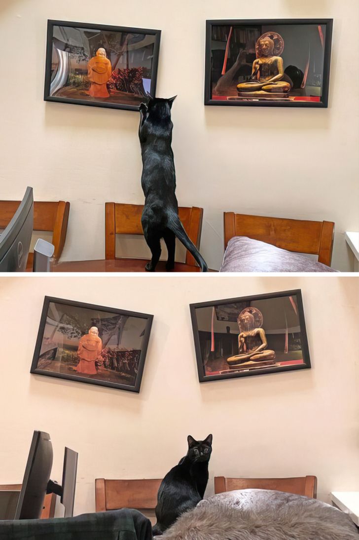 1ba4685b1daec594e0af69277d