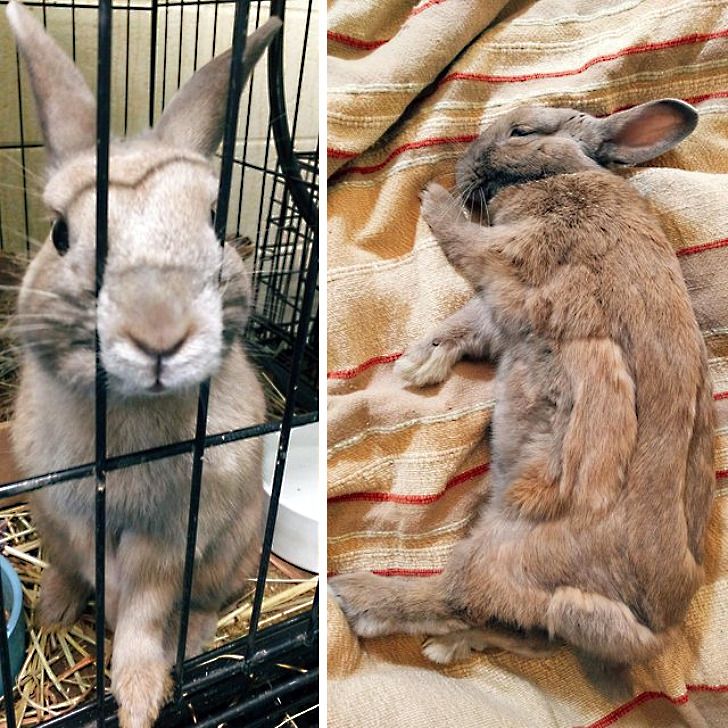 1ba9825a5cb0c4704492db08f6 1ba9825a5cb0c4704492db08f6