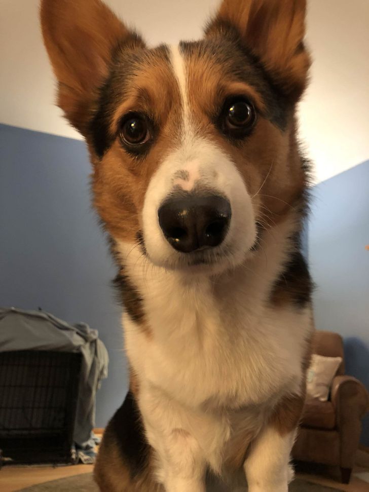 1baf71572d8eced138361b8f2e