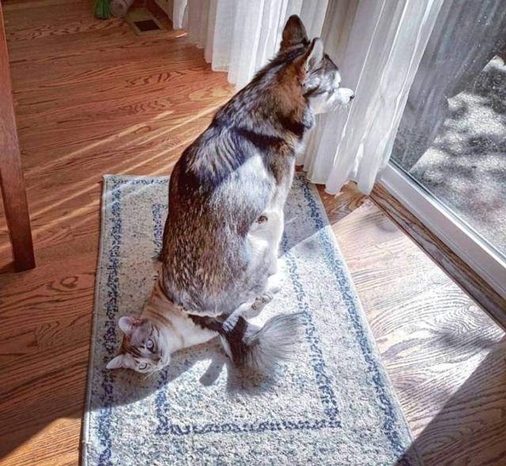 1bafc355dfbe24cf0afaa02120