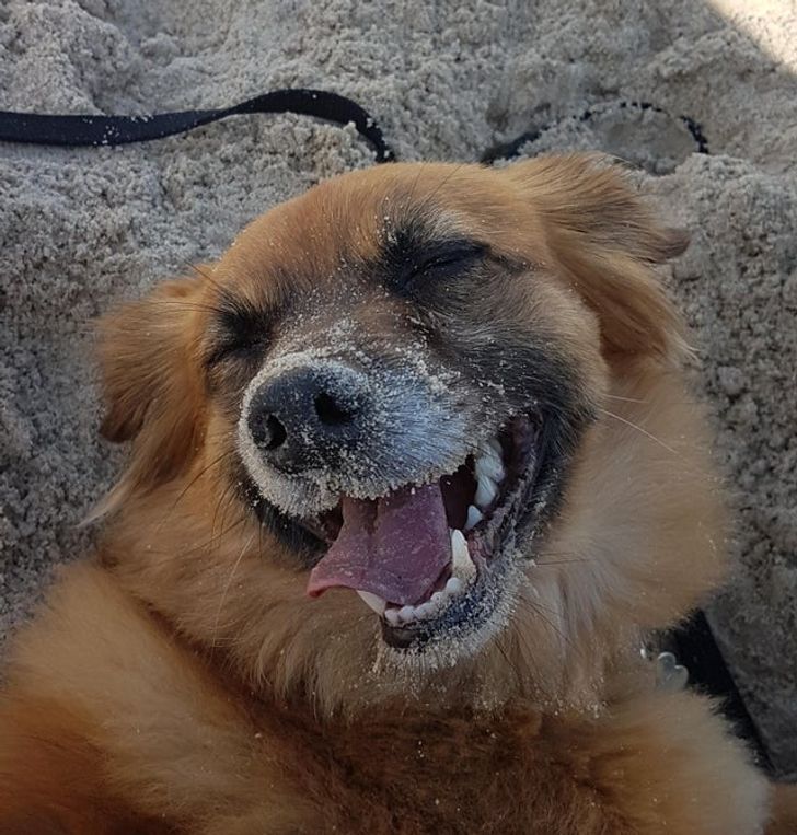 1bb9175320a332090fc0bf59ad