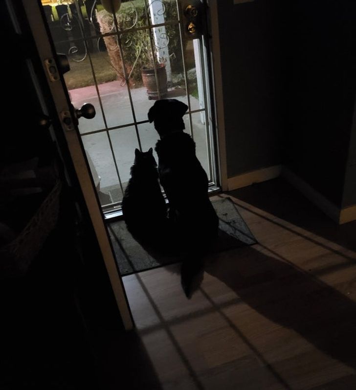 1bb9625f0db21656cdd8b985f3